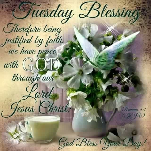 200-good-morning-tuesday-blessings-quotes-prayers-and-images