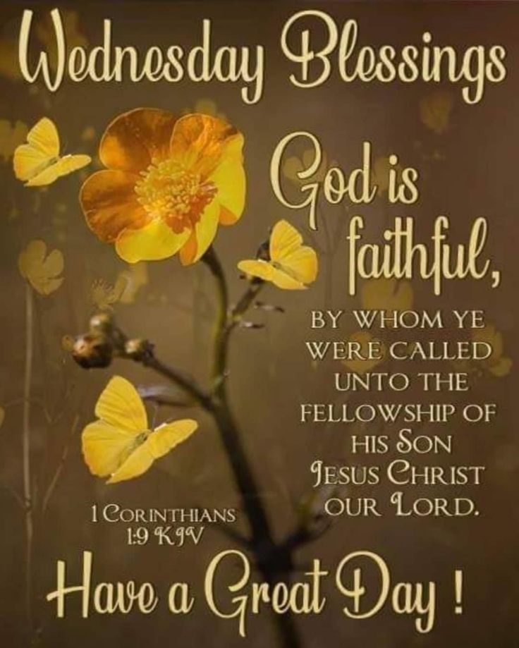 300-wednesday-blessings-quotes-prayers-and-images-for-a-happy-midweek