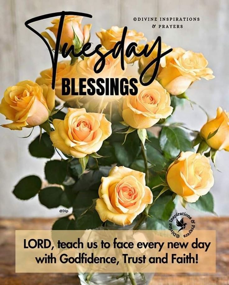 beautiful-tuesday-blessings-to-start-your-day