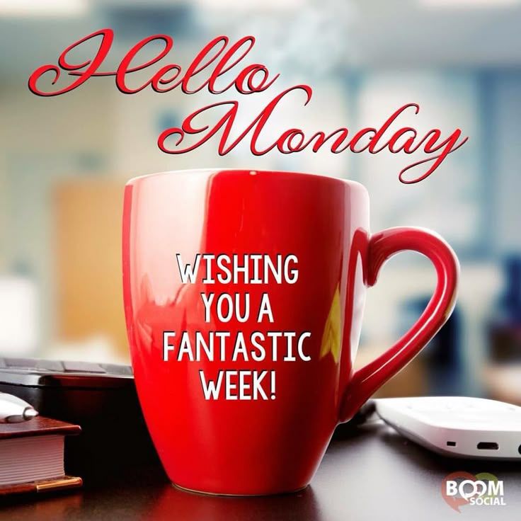 best-ways-to-share-monday-wishes-text-instagram-facebook