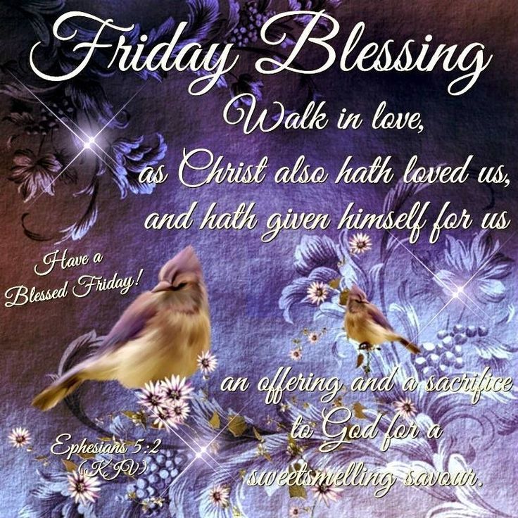 funny-and-lighthearted-friday-blessings