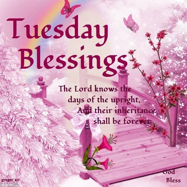 good-morning-tuesday-blessings