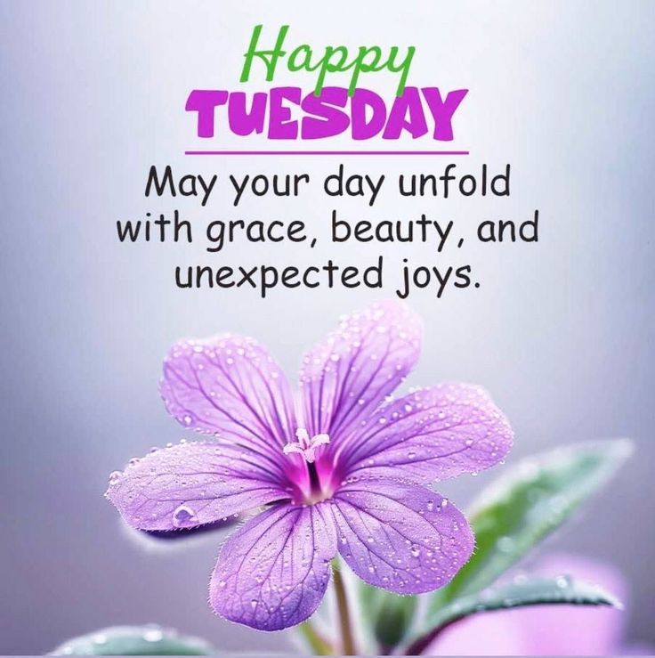 Tuesday Blessings