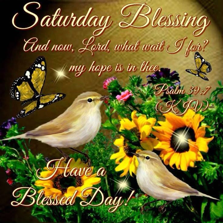 how-to-share-saturday-blessings-on-social-media