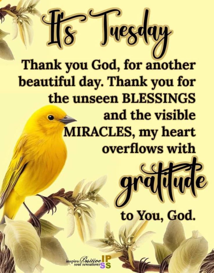 inspirational-tuesday-blessings-and-quote