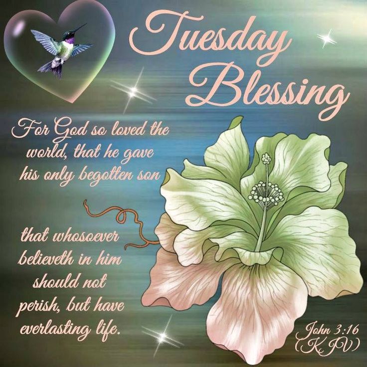 inspirational-tuesday-blessings-and-quotes