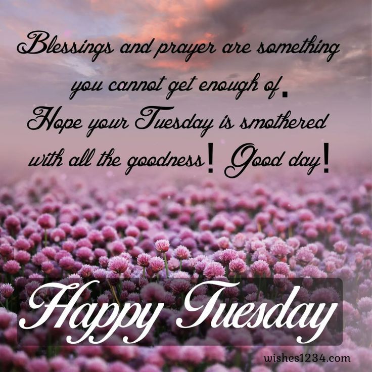 positive-and-thankful-tuesday-blessings