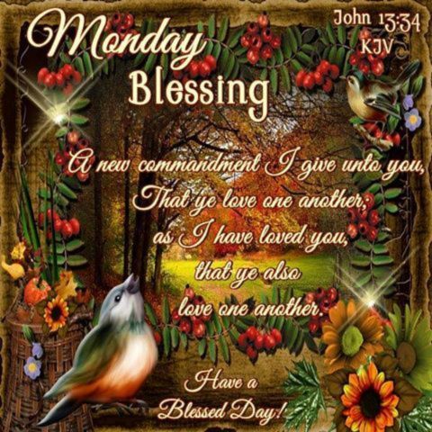 thankful-and-gratitude-monday-blessings