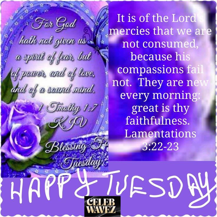 250-thankful-tuesday-blessings-quotes-prayers-and-wishes-for-a-positive-day