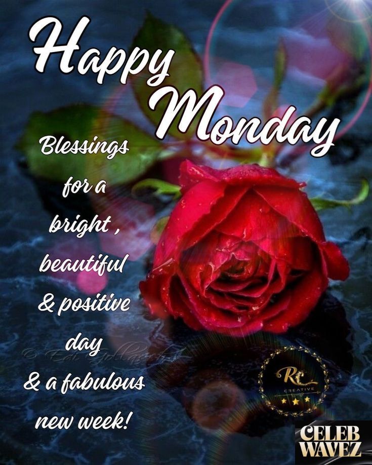 beautiful-good-morning-monday-blessings