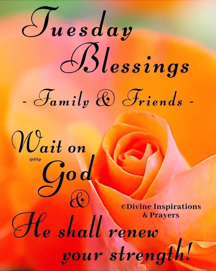 beautiful-thankful-tuesday-morning-blessings