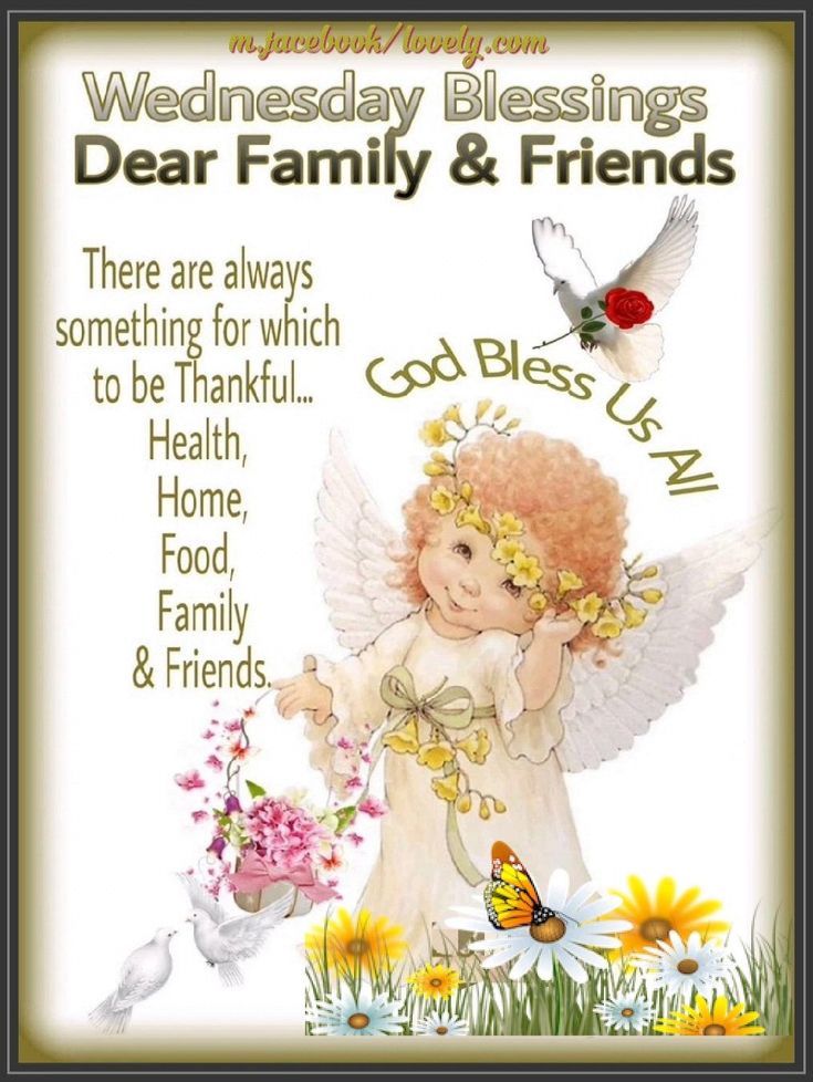 funny-and-cute-wednesday-blessings