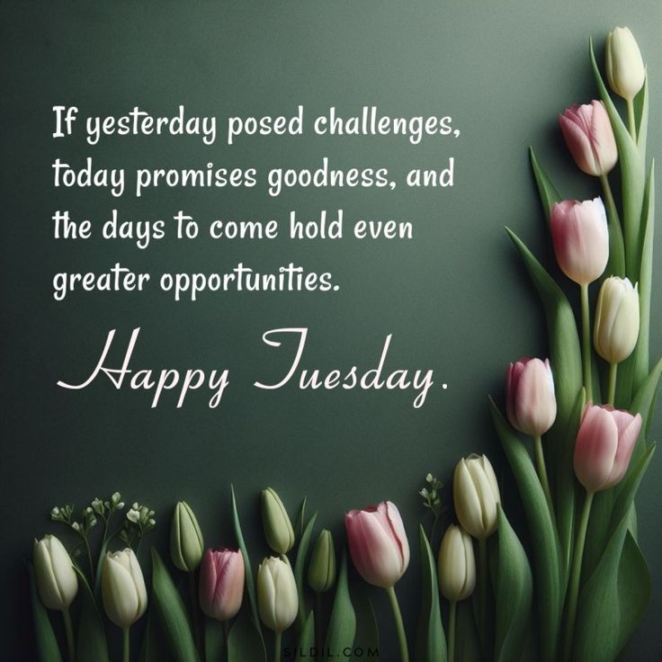 happy-tuesday-wishes-and-messages-for-friends-and-family