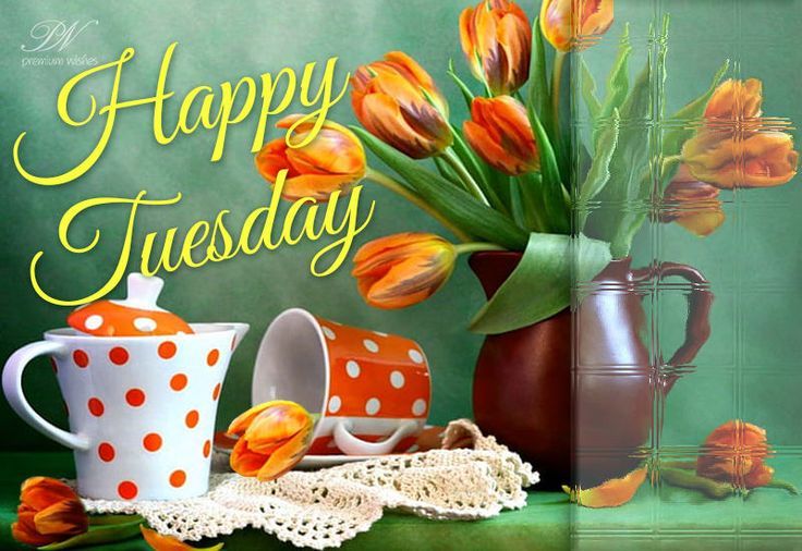 happy-tuesday-wishes-for-family-and-friends