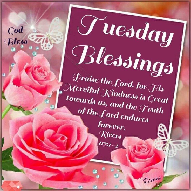 how-to-make-your-tuesday-feel-special-and-blessed