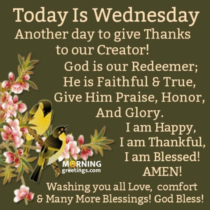positive-and-thankful-wednesday-blessings