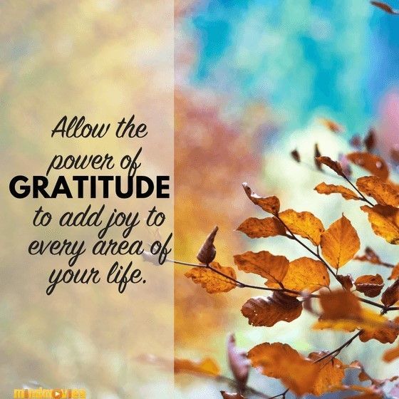 thankful-friday-blessings-to-show-gratitude